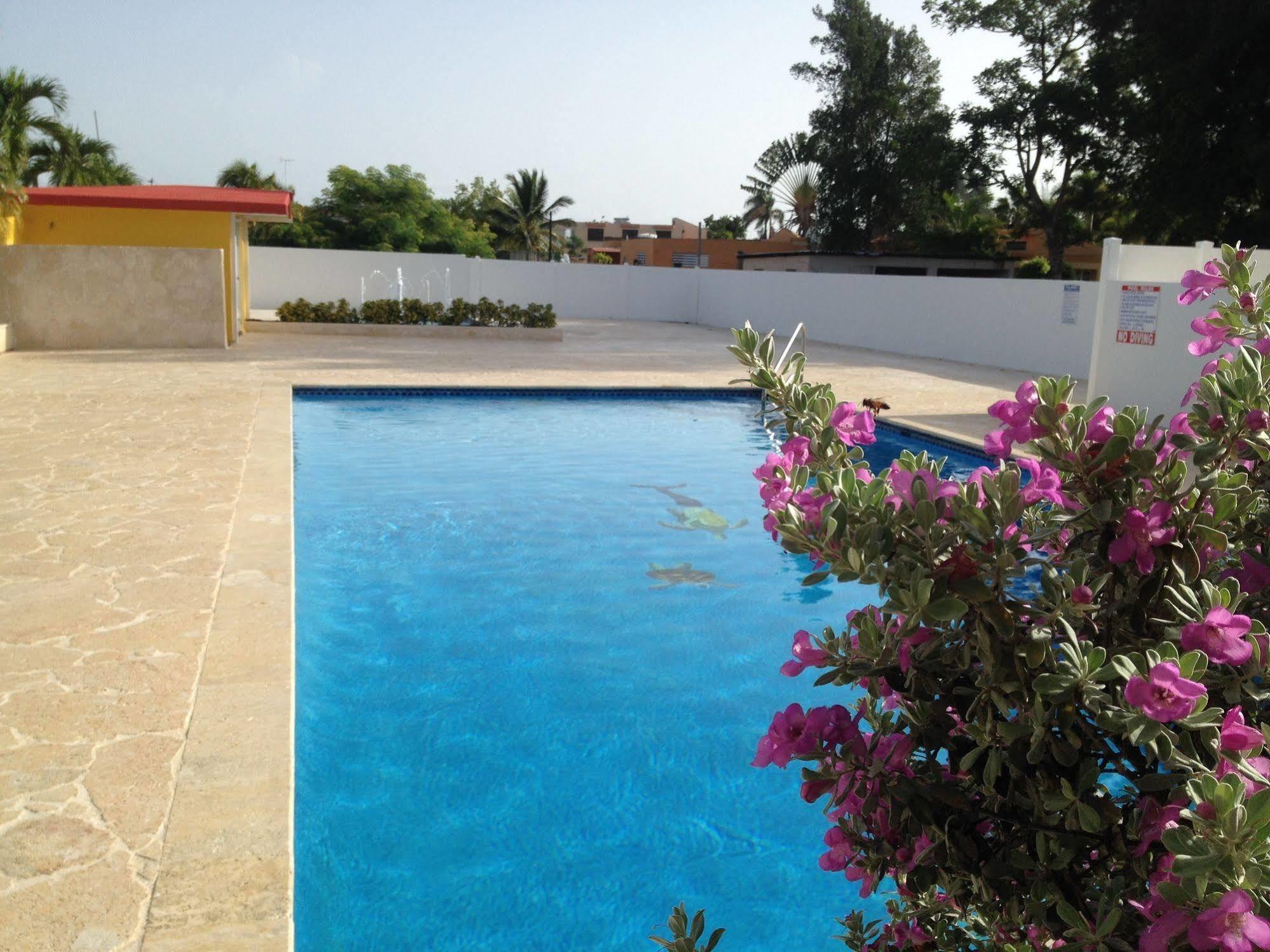 Arecibo Inn Екстериор снимка